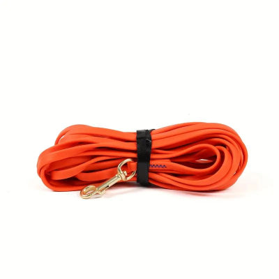 longe pour chien Balade canine orange