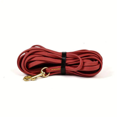 longe pour chien Balade canine rouge