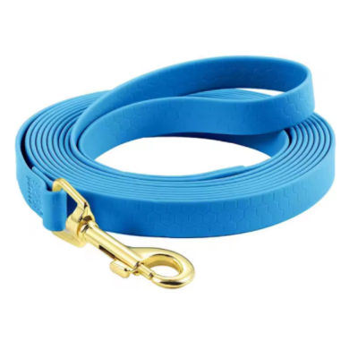 longe pour chien Dog Flow Bleu