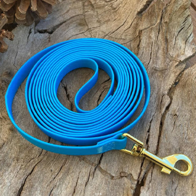 longe pour chien Dog Flow bleu sur du bois