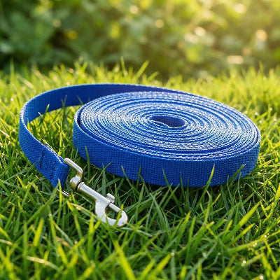 longe pour chien Plein air bleu dans l'herbe