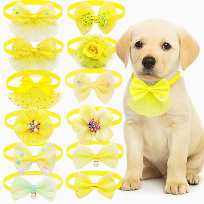 lot dix pieces collier chiot jaune