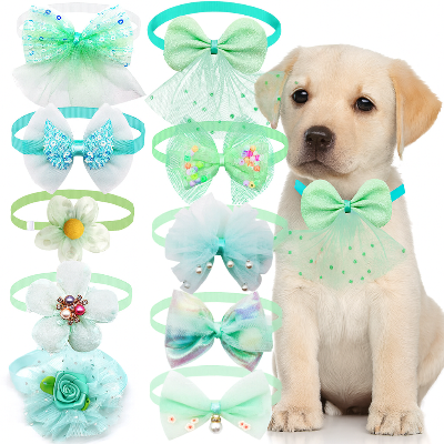 lot dix pieces collier chiot vert