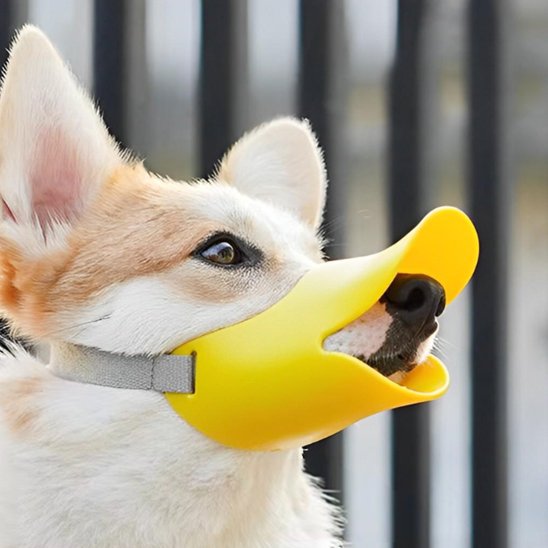 muselière petit chien Canard jaune en gros plan sur un chien 