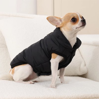Petit chien assis avec manteau pour chien Hiver toutou noir