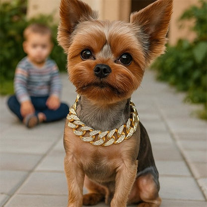 Petit chien assis joli avec collier pour chien doré et zirconium