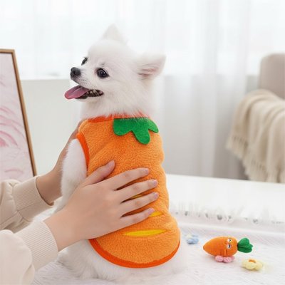 Petit chien avec pull pour chien Douceur confortable Carotte