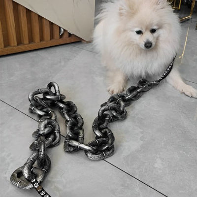 petit chien blanc assis dans la maison avec laisse chien bling