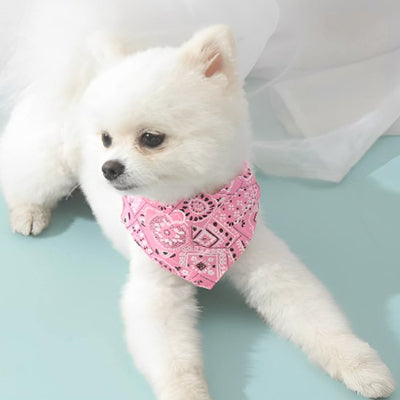 petit chien blanc avec collier pour chien rose bandana 