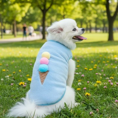 Petit chien dans l'herbe avec pull pour chien Petit nuage bleu