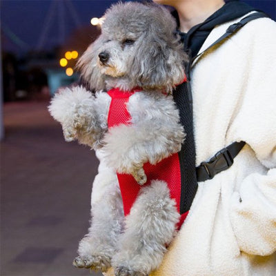 Petit chien dans sac a dos chien Kangourou rouge sur sa maitresse
