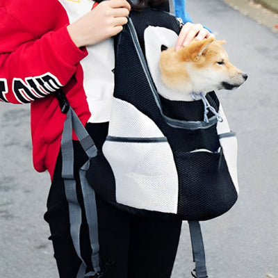  petit chien dans Sac à dos pour chien Compagnon Voyage noir