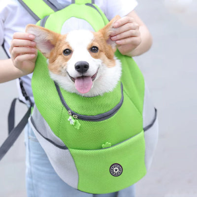 petit chien dans sac à dos pour chien Compagnon Voyage vert
