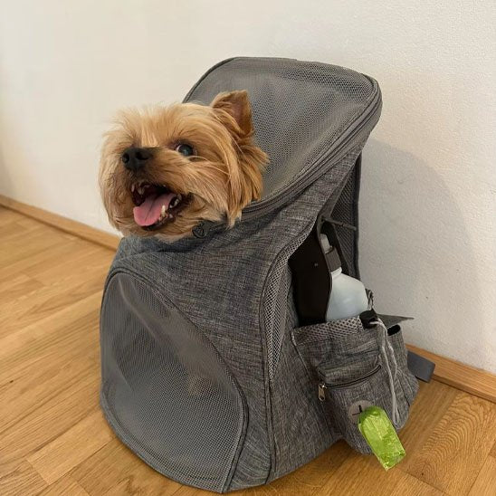 Petit chien dans sac à dos pour chien  Green Trail gris 