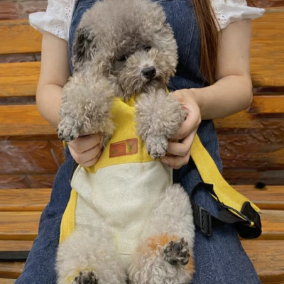Petit chien dans son sac de transport chien Porte Toutou jaune sur sa maitresse 