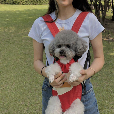 Petit chien dans son sac de transport chien Porte Toutou rouge sur sa maitresse 
