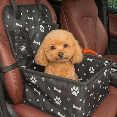 Petit chien dans un siege auto chien Patte Douillette 