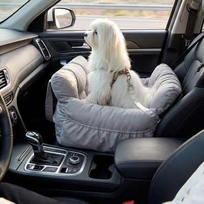 Petit chien dans un siege auto chien Voyage Elite gris regardant la route 