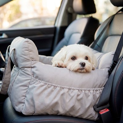 Petit chien dans un siege auto chien Voyage Elite gris 