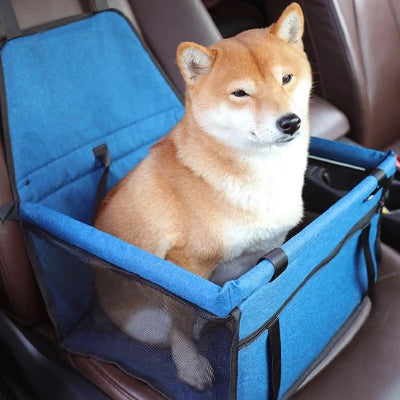 Petit chien dans un siege auto pour chien Confort Royal Bleu