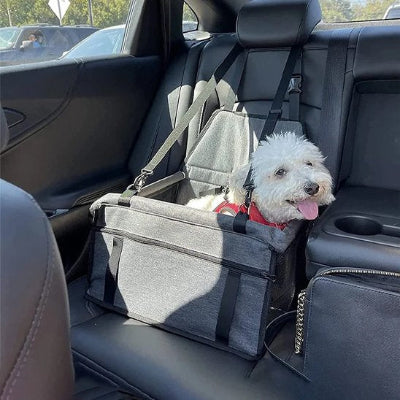 Petit chien dans un siege auto pour chien Confort Royal Gris