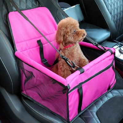 Petit chien dans un siege auto pour chien Confort Royal Rose