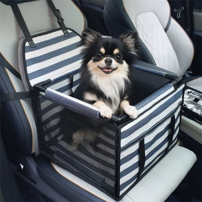 Petit chien dans un siege auto pour chien Doux Voyage rayé