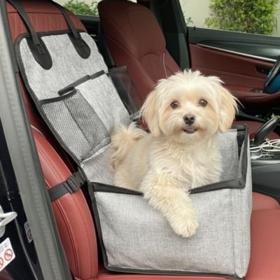 Petit chien dans un siege auto pour chien Trajet Serein 