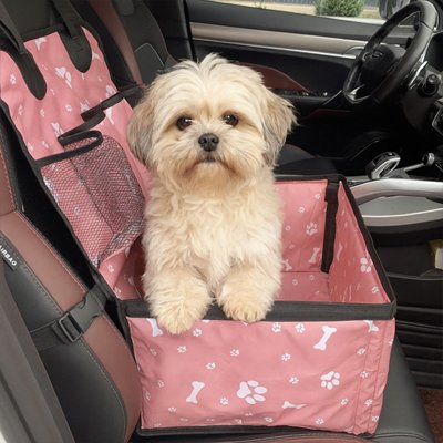 Petit chien debout dans son siege auto chien Voyage Confort Rose 