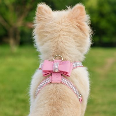 Petit chien en harnais chiot Chic et Strass rose de dos