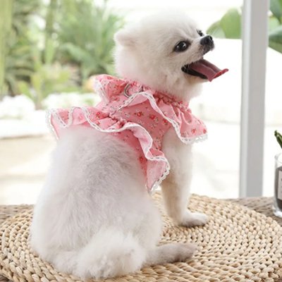 Petit chien en harnais petit Chien Froufrou rose assis