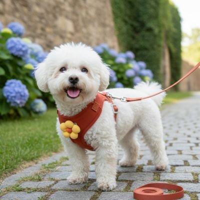 Petit chien en harnais pour porter un chien Marguerite rouge