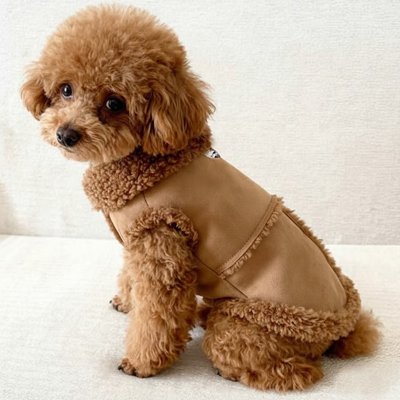 Petit chien en Manteau Chien Style peluche marron