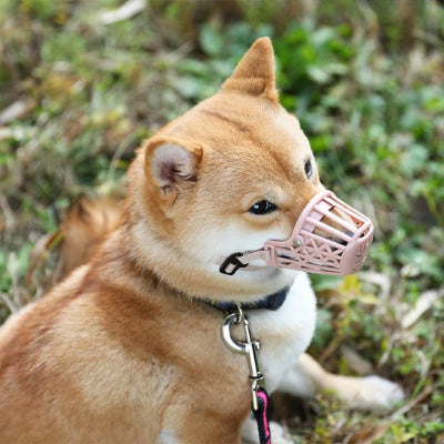 petit chien en  muselière pour chien Museau aéré beige