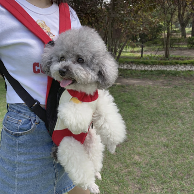 Petit chien heureux dans son sac de transport chien Porte Toutou rouge sur sa maitresse 