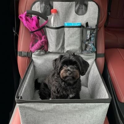 Petit chien noir dans un siege auto pour chien Trajet Serein 