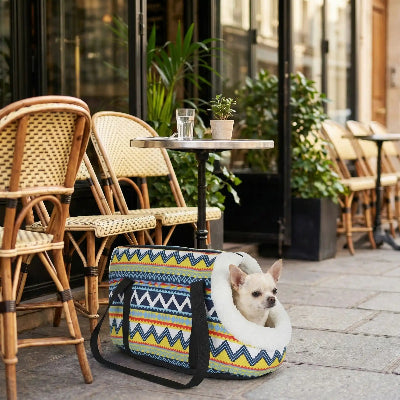 petit chien posé par terre dans son sac de transport chien Voyage confort au café