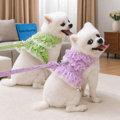 Petits chiens en harnais petit Chien Froufrou vert et mauve au salon