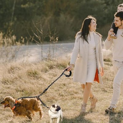 petits chiens se promenant avec leur maitres en laisse double pour chien