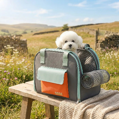 sac à dos pour chien Transporteur gris