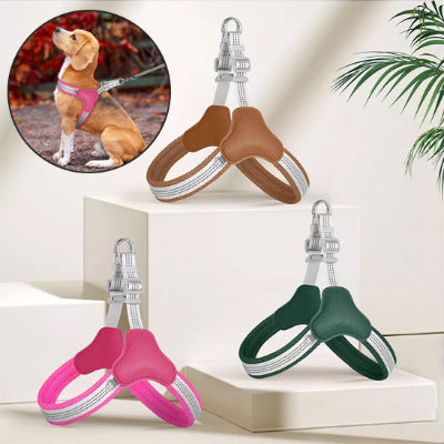 trois harnais pour chien lily rose vert marron et encart