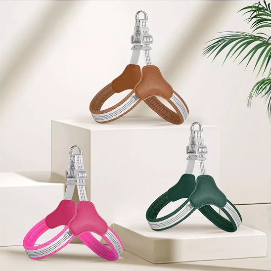 Trois harnais pour chien Lily Rose, vert, marron