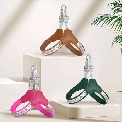 Trois harnais pour chien Lily Rose, vert, marron